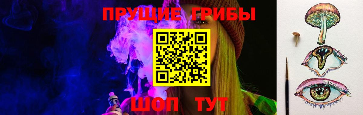 Котовск  Галлюциногенные грибы мицелий  Вход с VPN 